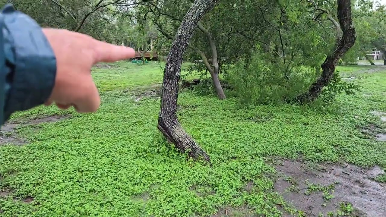 How flooding affects our farm