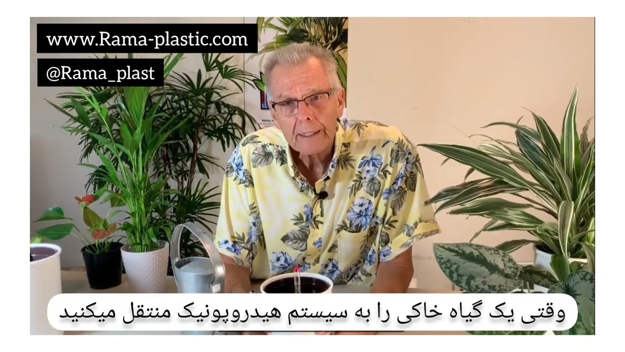 آموزش هیدروپونیک گیاهان آپارتمانی ، گیاهان در آب کشت