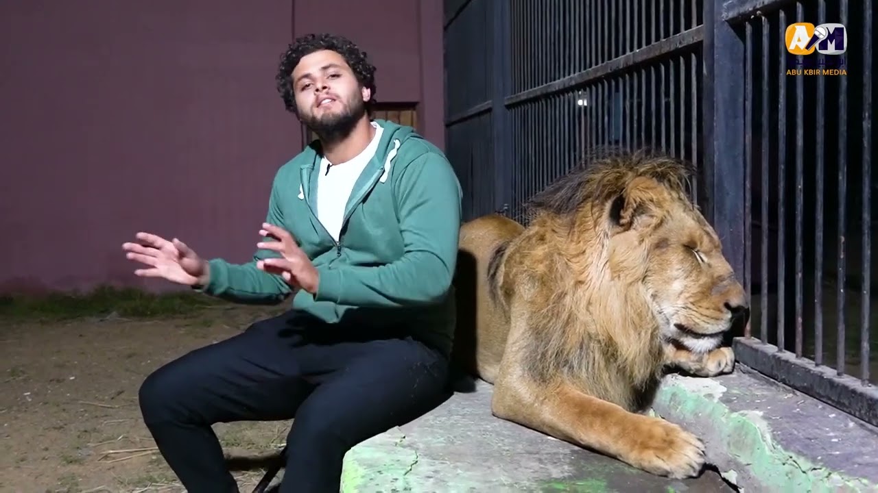 بيكلم مرات الأسد بلغتها وبياكل 15 حمار في الشهر   مغامرات أشرف الحلو داخل بيت ملك الغابة