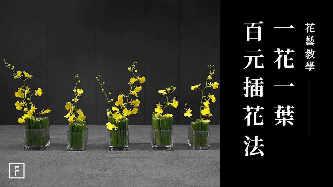 百元小方瓶插花：長型水燭草與文心蘭的妙用，快速學會小巧餐桌花｜花藝教學｜花裡 FORi Flower