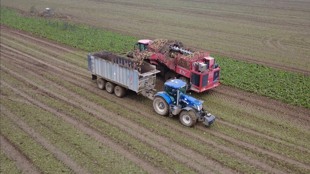 Repná Kampaň 2025 | Holmer TerraDos T4.40 | 2x New Holland | SPD Veselé 