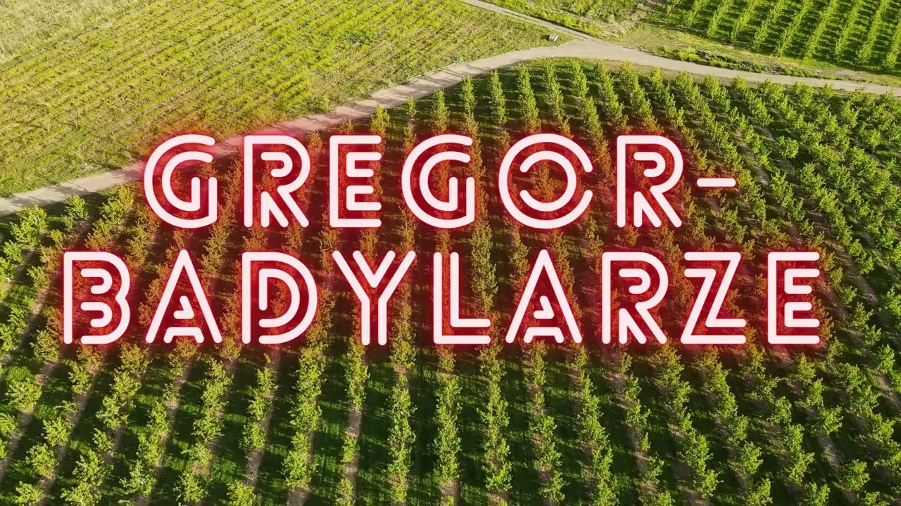 Gregor -Badylarze