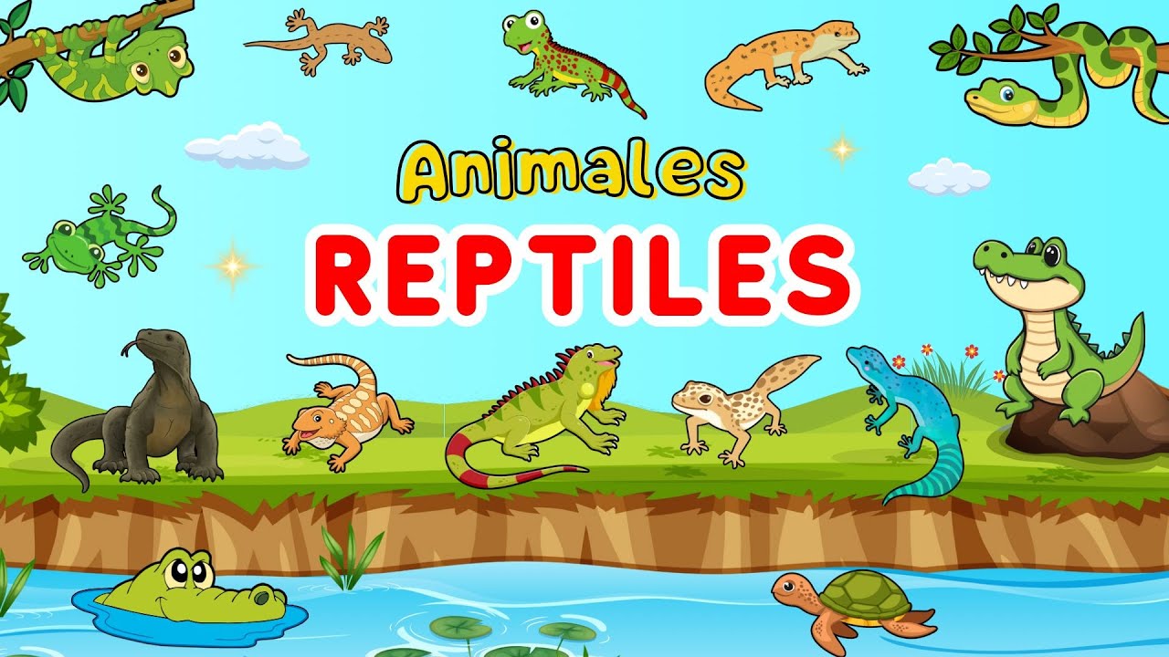 ANIMALES  REPTILES PARA NIÑOS 🐊🐢🦎| Videos educativos infantiles | Animales asombrosos y curiosidades
