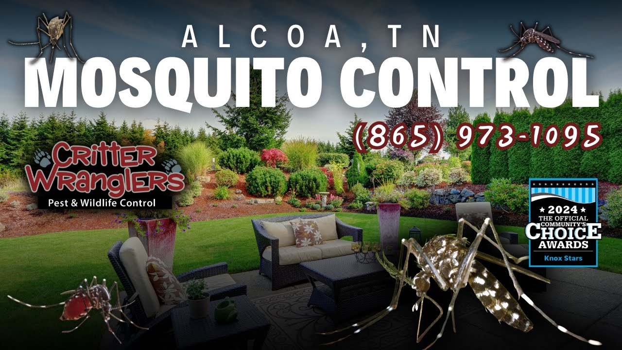 Alcoa, TN Mosquito Control Services - (865) 973-1095 Critter Wranglers, LLC