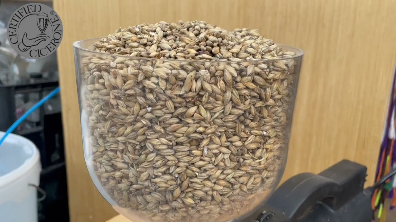 Czech premium pale lager home brew day