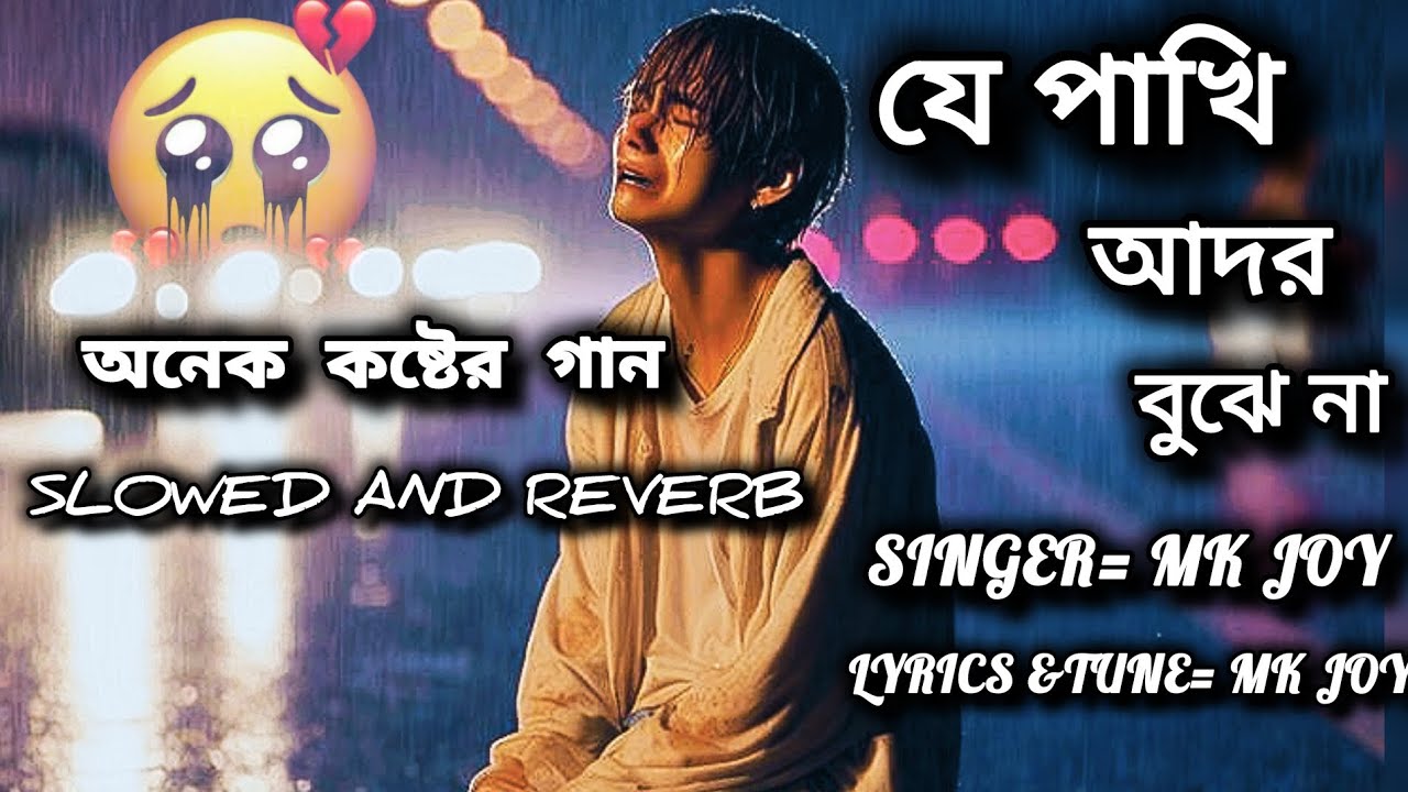 যে পাখি আদর বুঝে না ২- slowed& reverb - Bangla sad song- @AMKInternational-02