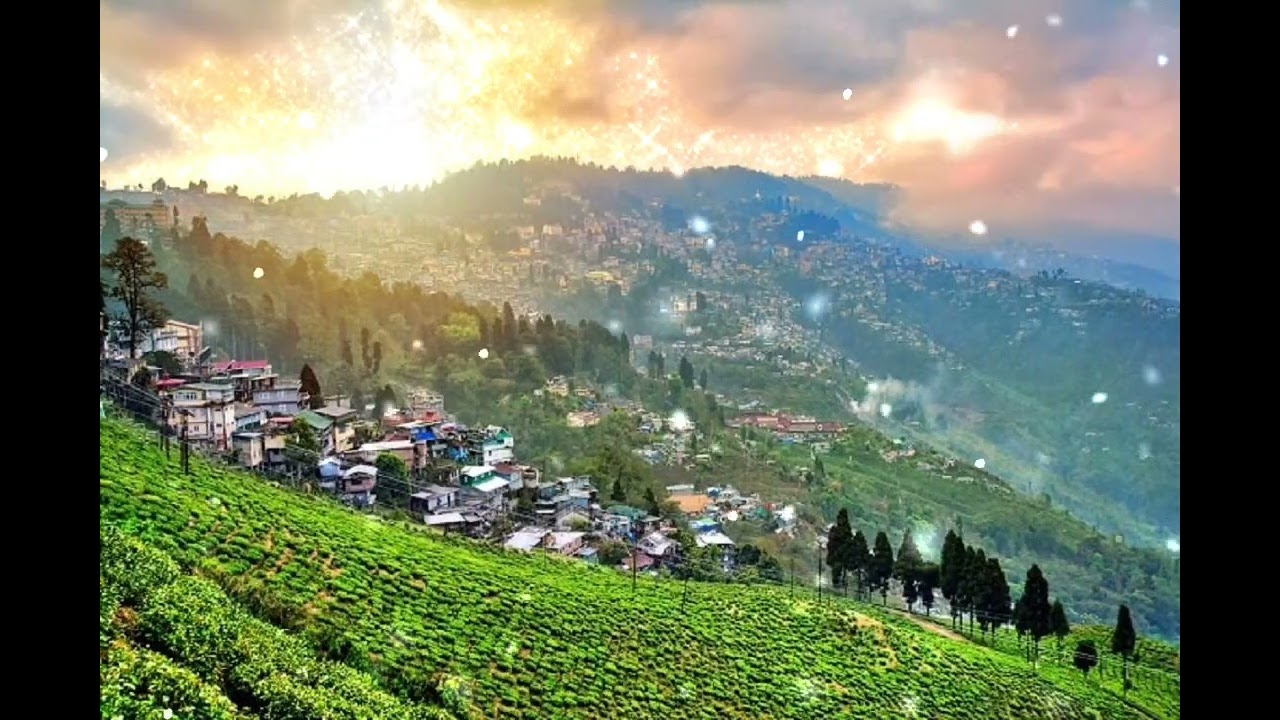 Pahadon ki Rani#darjeeling#barish#chai#lovesong#lovestatus 