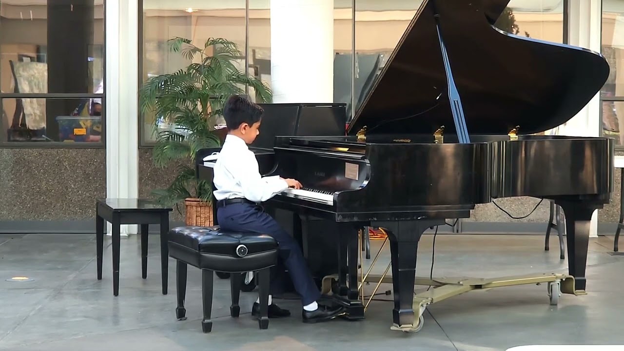 Rishab playing March- Song of the Lark from the Seasons Opus 37b by P. I. Tchaikovsky