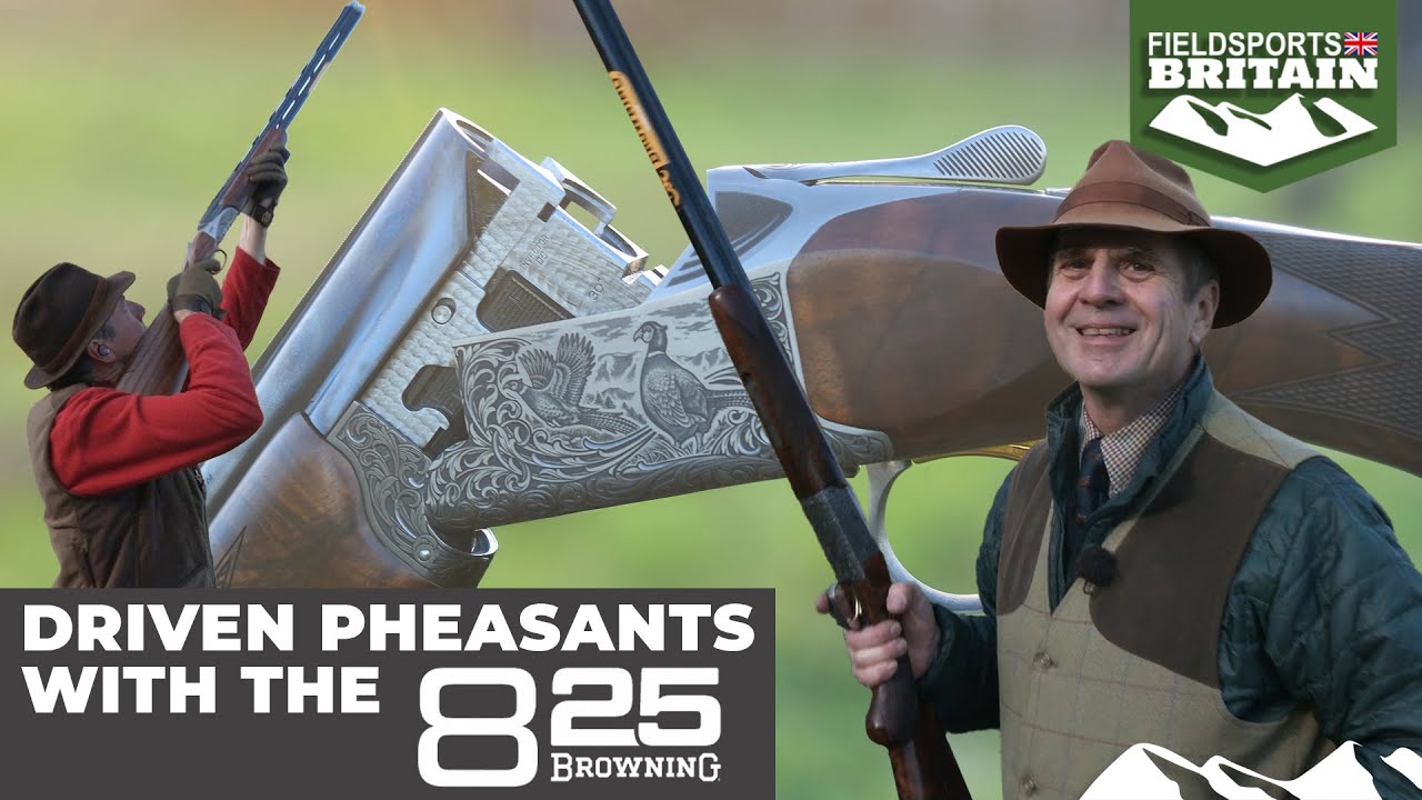 Driven pheasants with the Browning 825