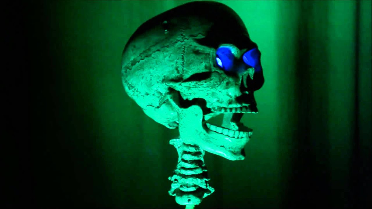 Pirates Life - Skulltronix