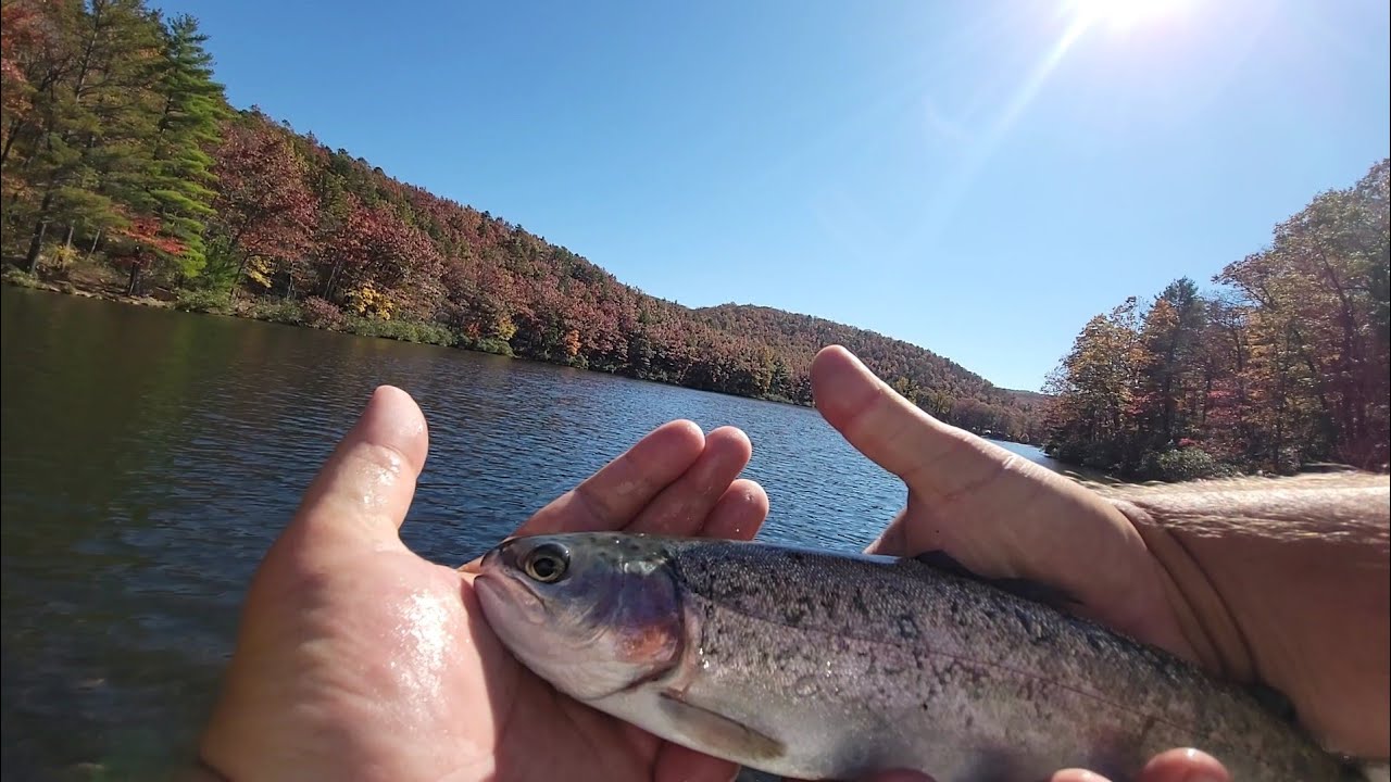 Sherando Lower Lake!