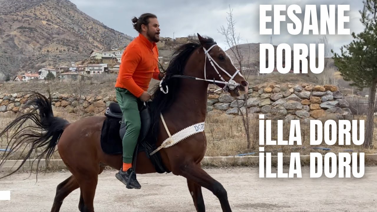 ALMA ALI,SATMA KIRI,İLLE DORU İLLE DORU,YAĞIZINDA BİNDE BİRİ