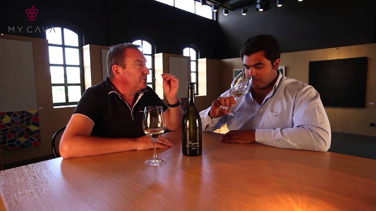 Κτήμα Σκούρας  | Domaine Skouras - Viogner Eclectique - MYCAVA.gr