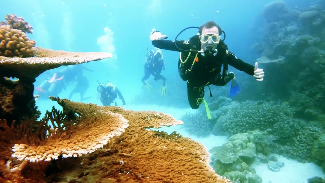 Scuba Diving Port Douglas May 2023