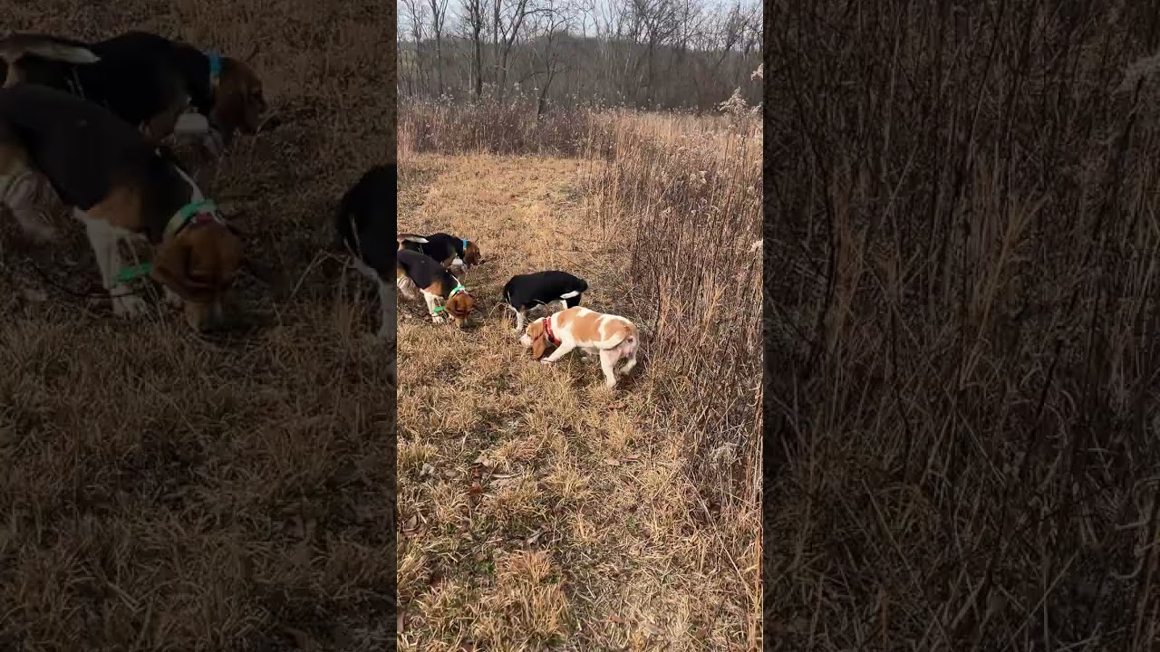 January 8th 50 degrees. 2 Couple Pack 