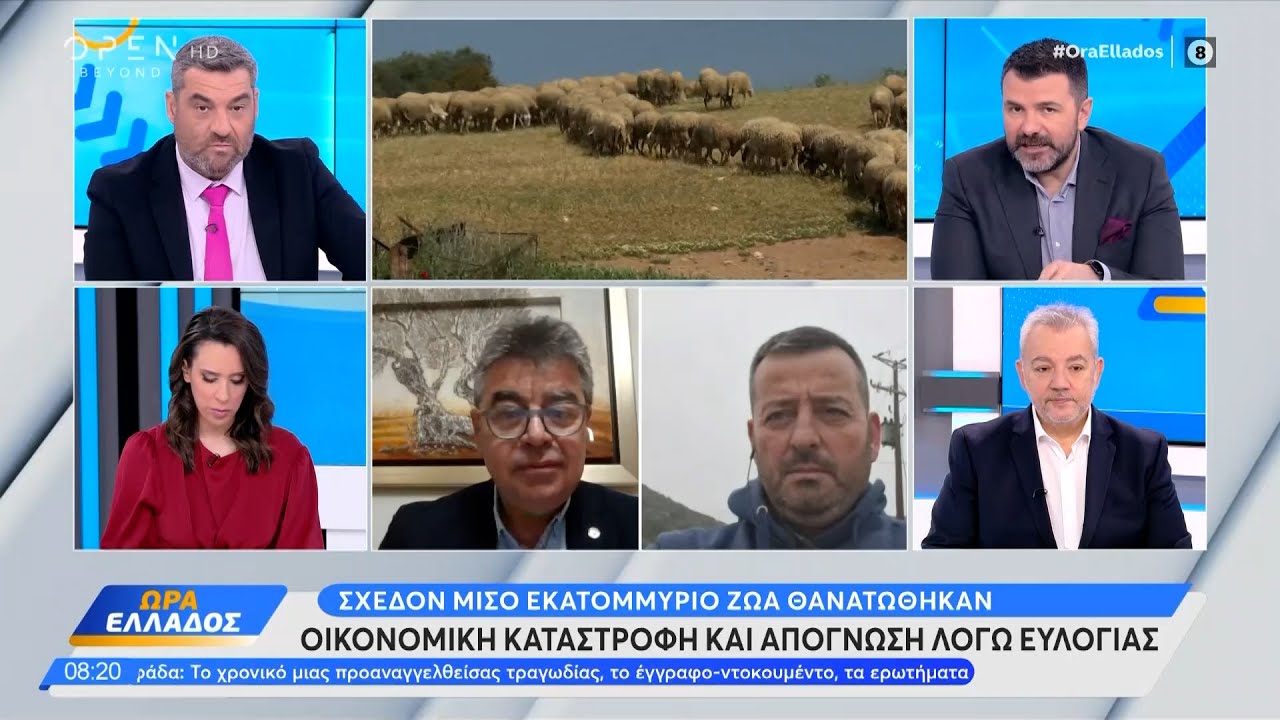 Οικονομική καταστροφή και απόγνωση λόγω ευλογιάς  | Ethnos