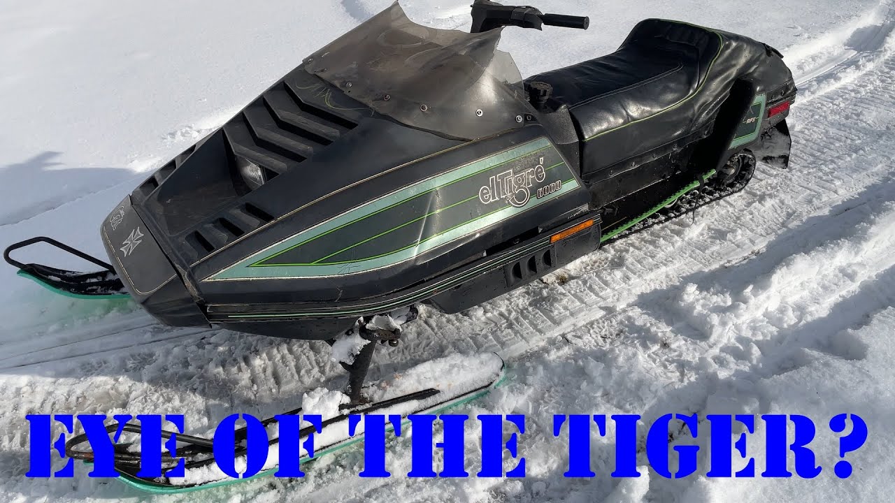 1986 Arctic Cat El Tigre 6000 Revival
