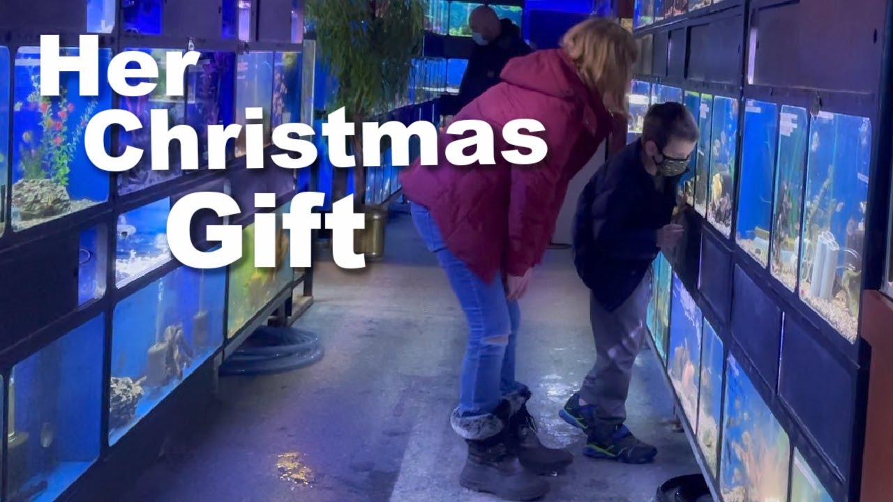 Autism| A Not So New Special Interest