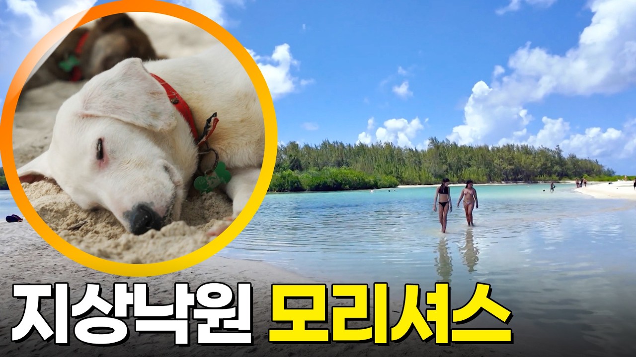 모리셔스 여행 [걸어서세계속으로] KBS 220625 방송