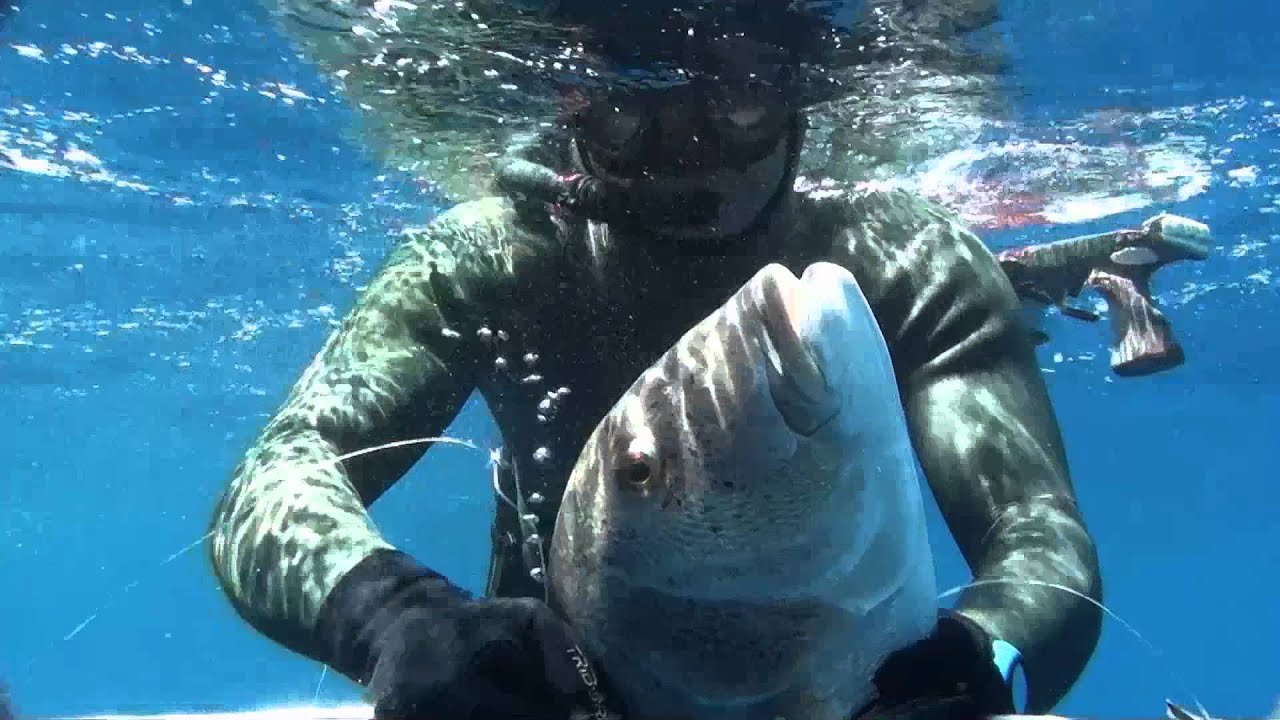 Pesca subacquea sui relitti profondi del 19.06.2011