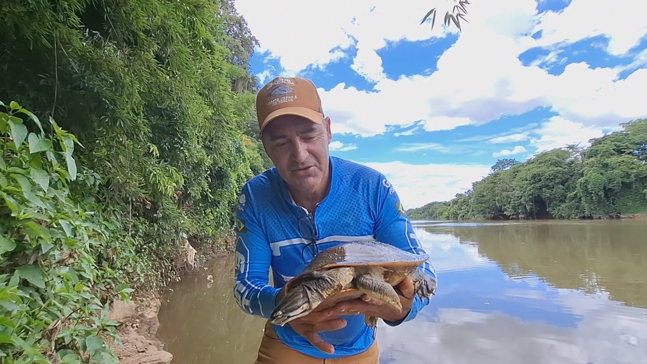 ESSA TARTARUGA DO RIO SE DEU MAU Canal Saalada