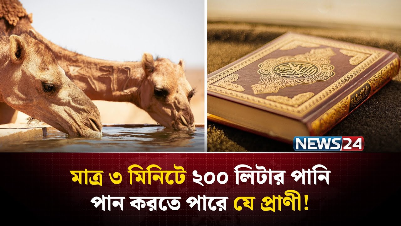 বিশ্বের সবচেয়ে তৃষ্ণার্ত প্রাণী কে? জানিয়েছে আল কোরআন | Scientific Miracles of  Quran | NEWS24