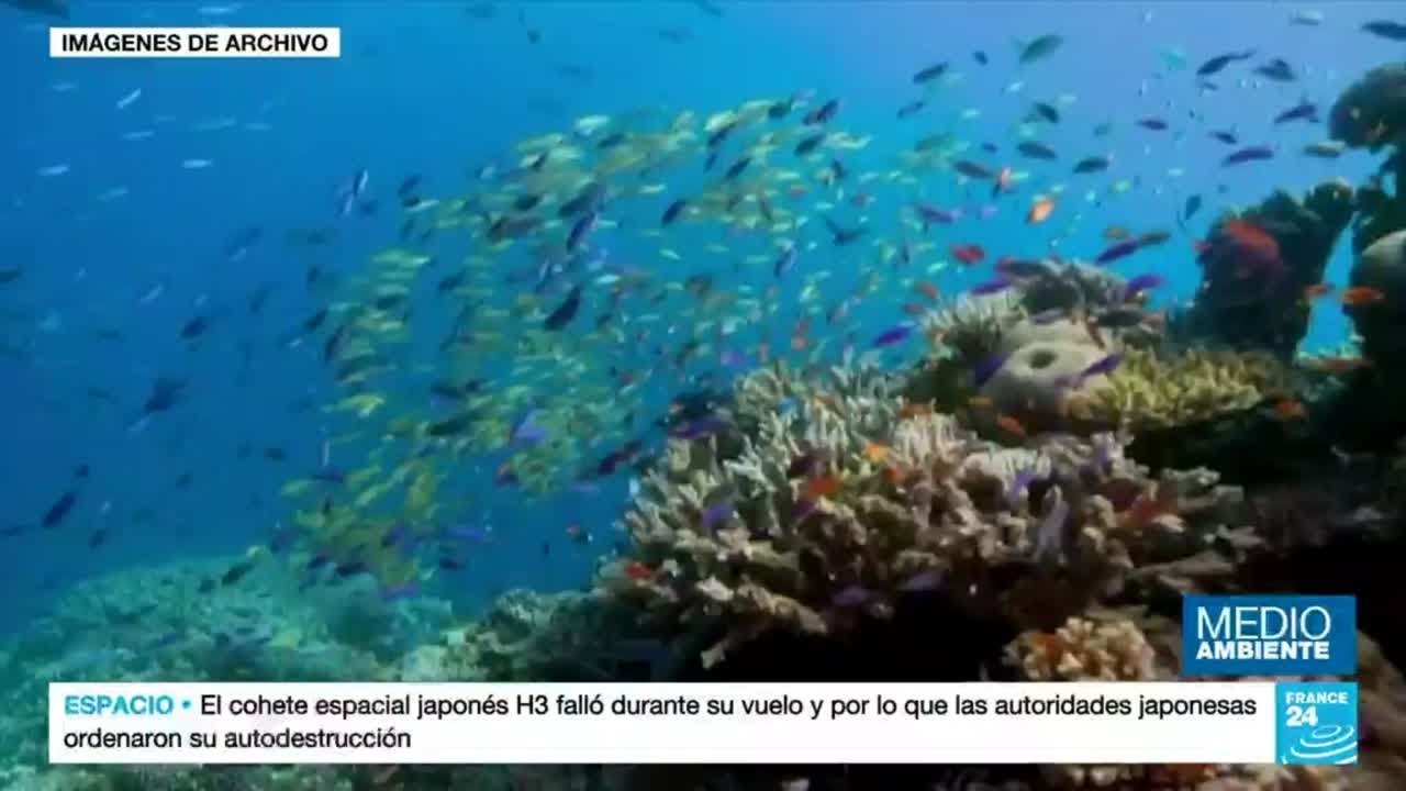 ¿Por qué importa el Tratado de Altamar y qué protege?