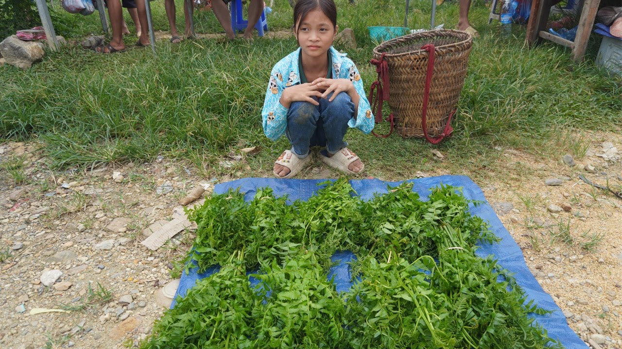 Orphan girl - Homeless life catch eels and harvest green vegetables goes to the market sell