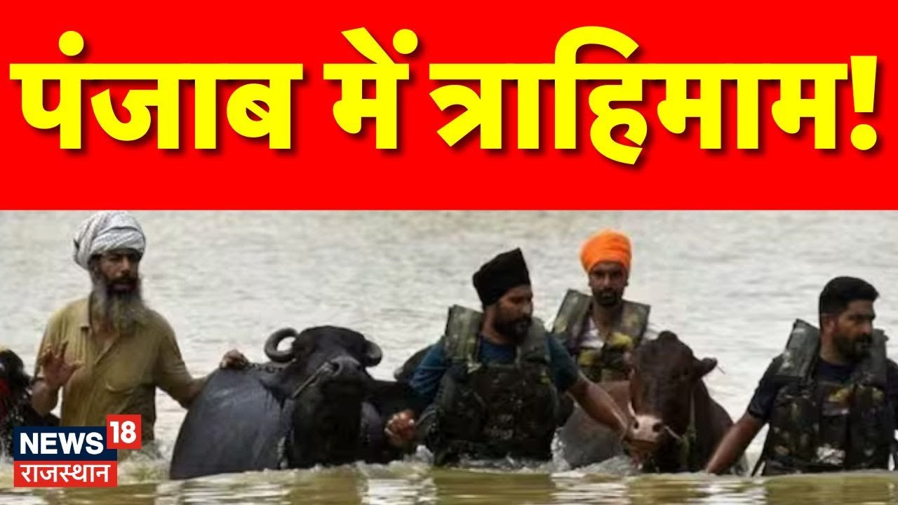 Punjab Flood Updates : पंजाब में बाढ़ से 43 लोगों की मौत! | Heavy Rain in Punjab | Flood | Rain News