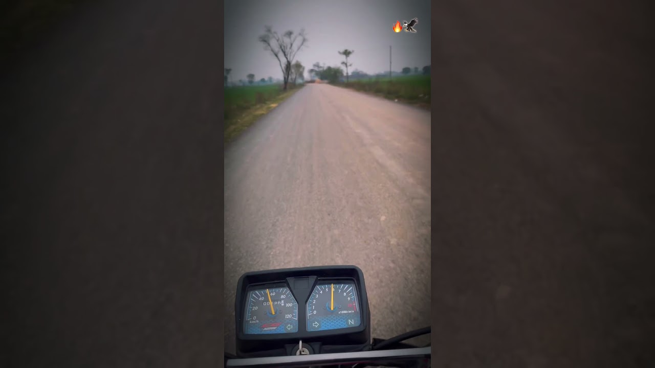 #speedsong #song #dance #unfrez #automobile #automobile #lovesongs #lovesongs #punjabimusic #food