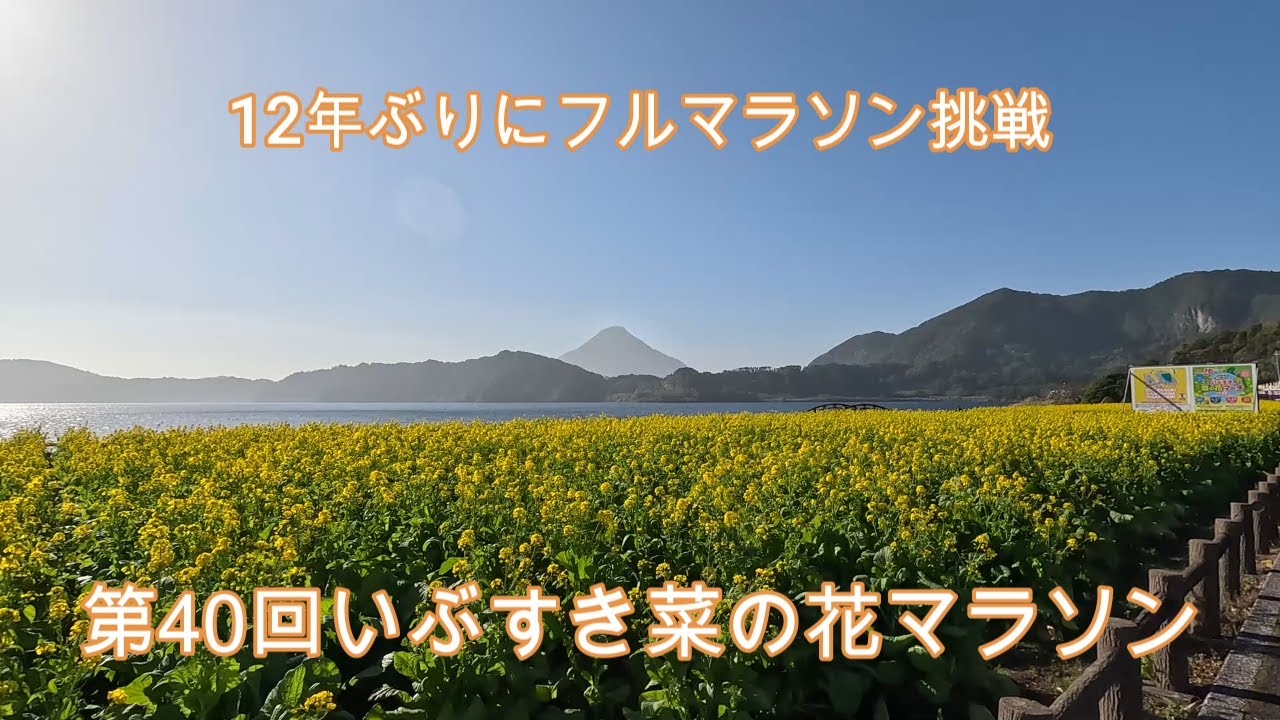 【第40回いぶすき菜の花マラソン】　12年ぶりにフルマラソンに挑戦