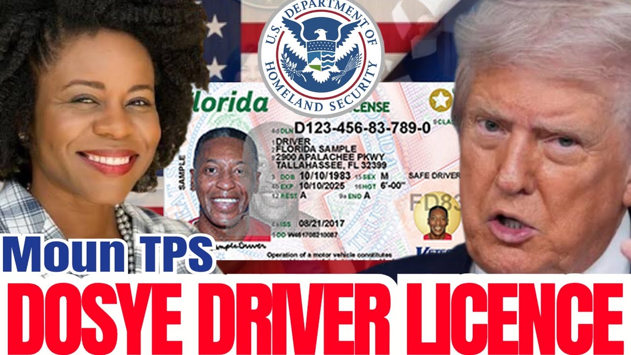 🚨Driver Licence: Moun TPS Ki Poko Fe Lisans, Depiw Nan State Sa Yo, Tande Sa Byen!