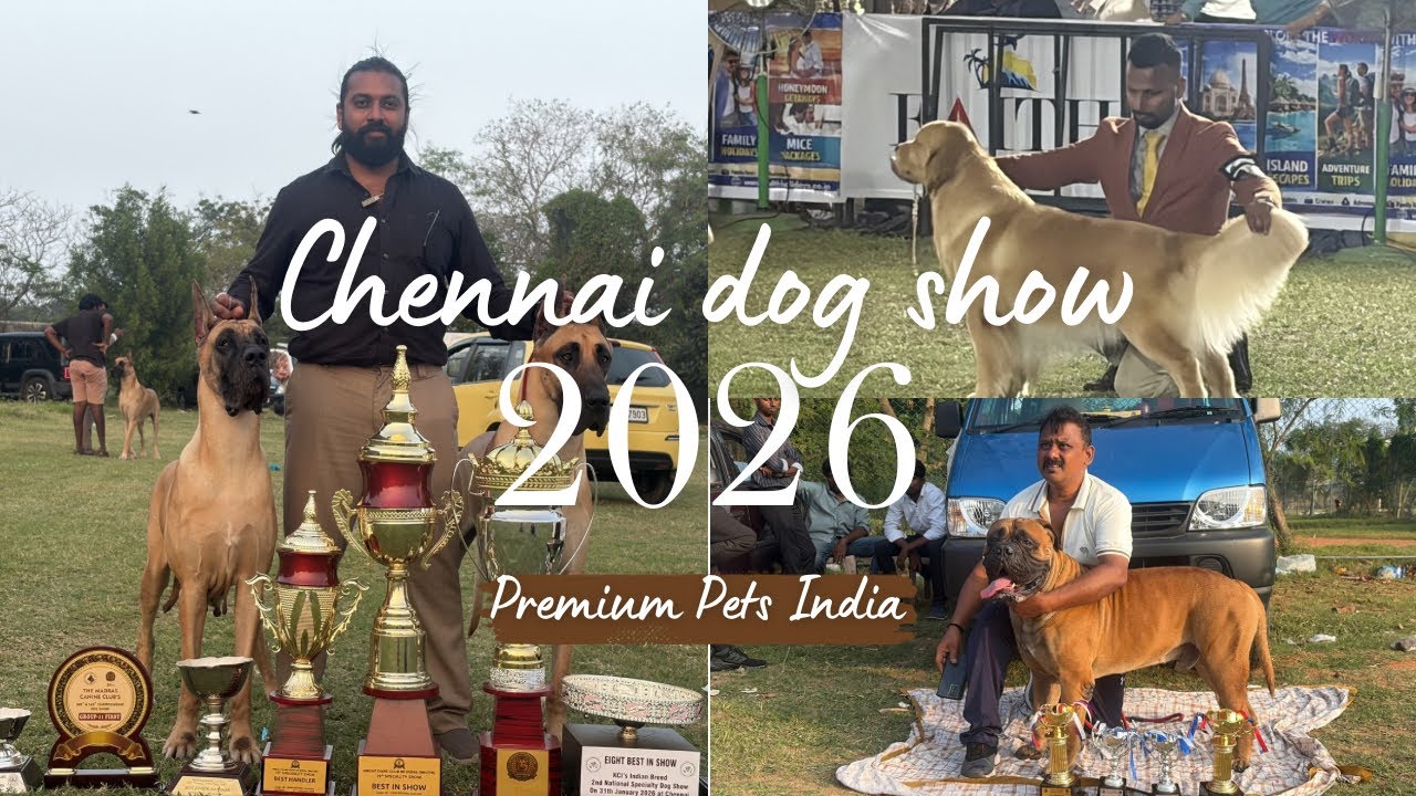 Welcome to the first official video on Premium Pets India 🐾 - Chennai Dog Show 2026