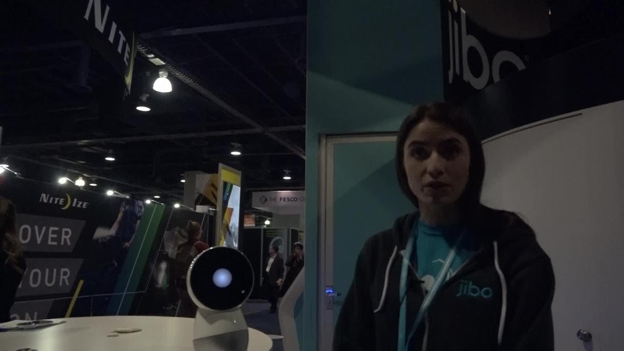 Is The Jibo Robot Worth Nearly $900?
