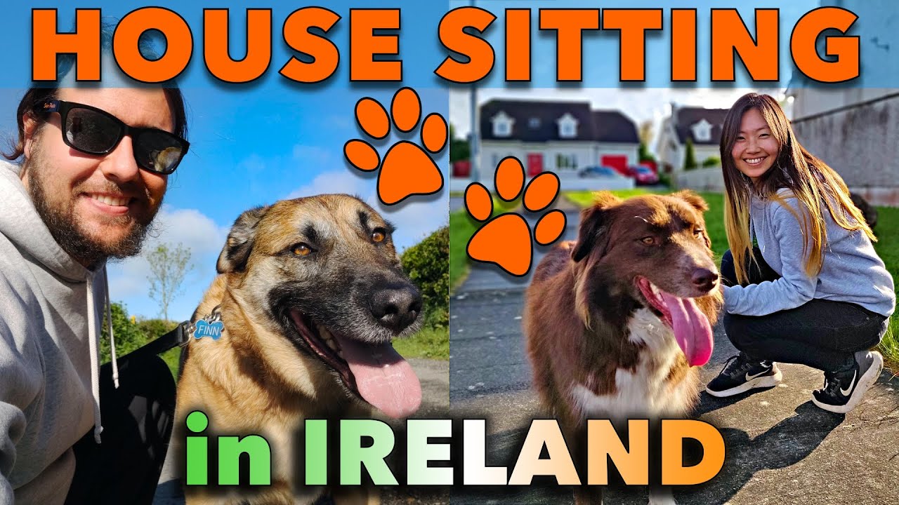 #HOUSESITTING in IRLAND 🇮🇪 Unser t&auml;gliches Leben | Hund sitzt mit @TrustedHousesitters