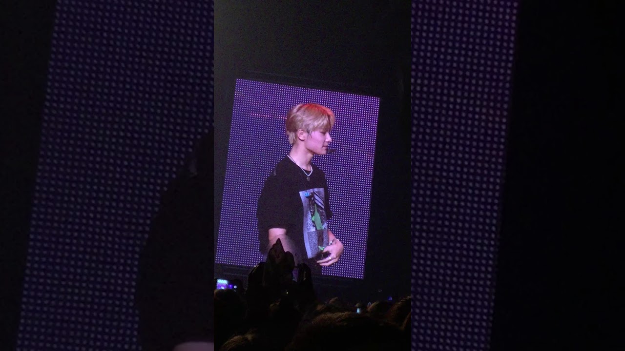 Stray Kids милашничают))) How cute😻