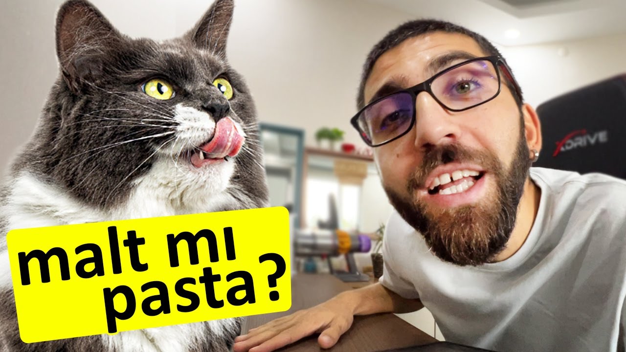 %99 yanlış biliyorsunuz! | KEDİSEL SOHBET-2