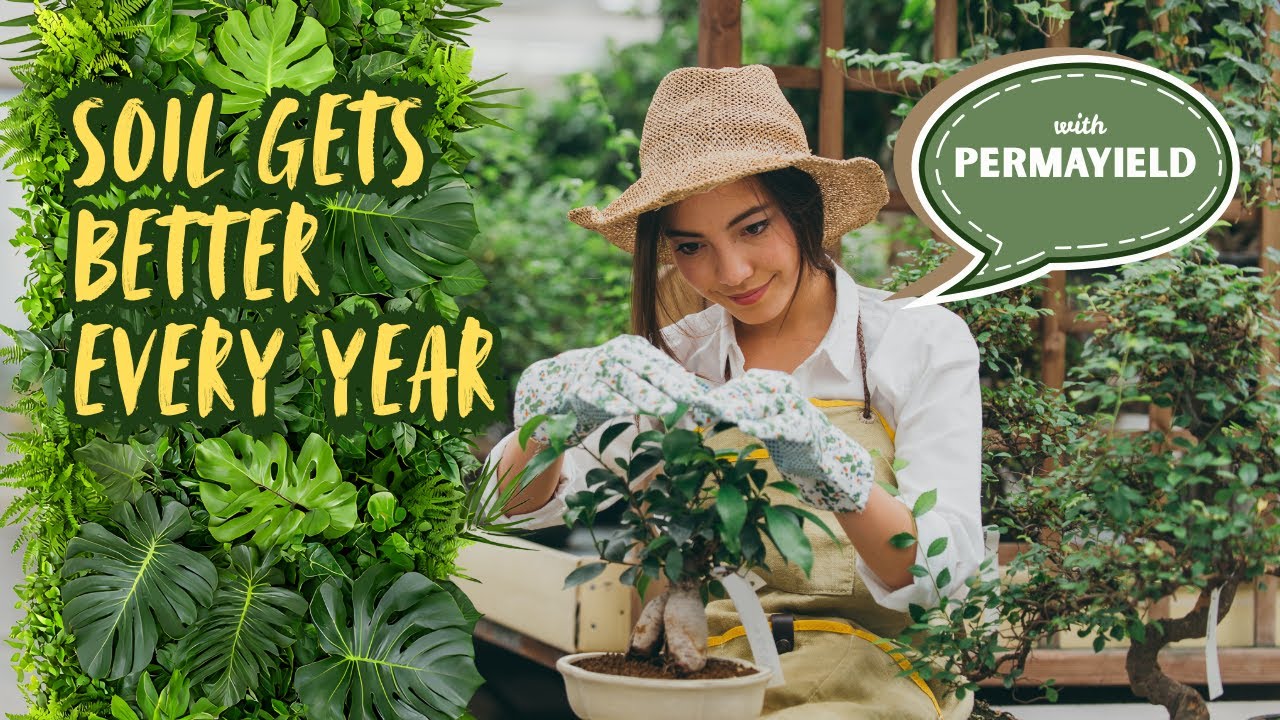 Perennial Crops That Improve Soil Every Year Instead of Depleting It
