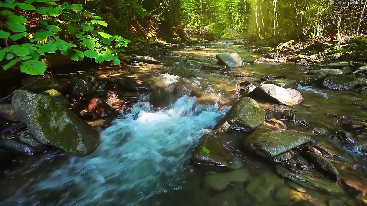M&uacute;sica Relaxante: Flauta Ind&iacute;gena e Sons da Natureza - Acalmar a Mente e Relaxar