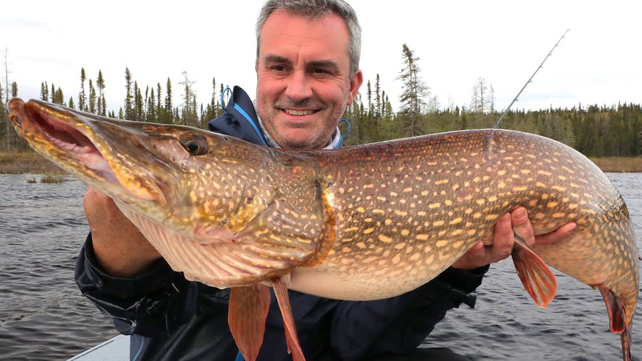 UN BROCHET MONSTRE DANS UN SPOT SECRET ! - Cyril Chauquet