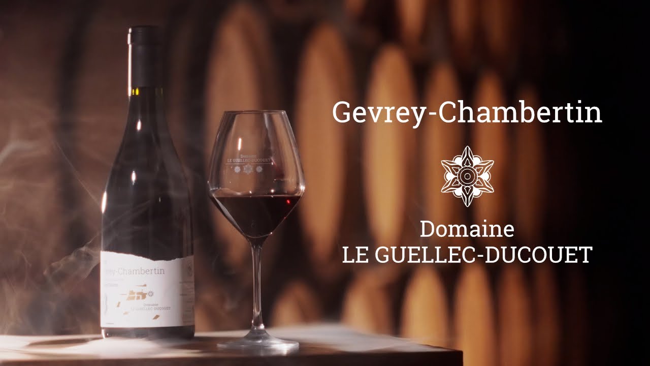 Domaine LE GUELLEC-DUCOUET, Trésor de Gevrey-Chambertin