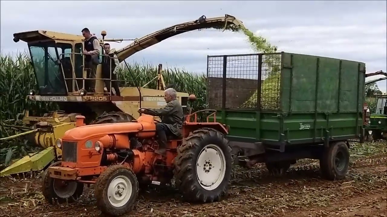 Ensilage à l'ancienne 2024 chez Christophe et Nicolas, à Colomby (50700) 1ère partie.