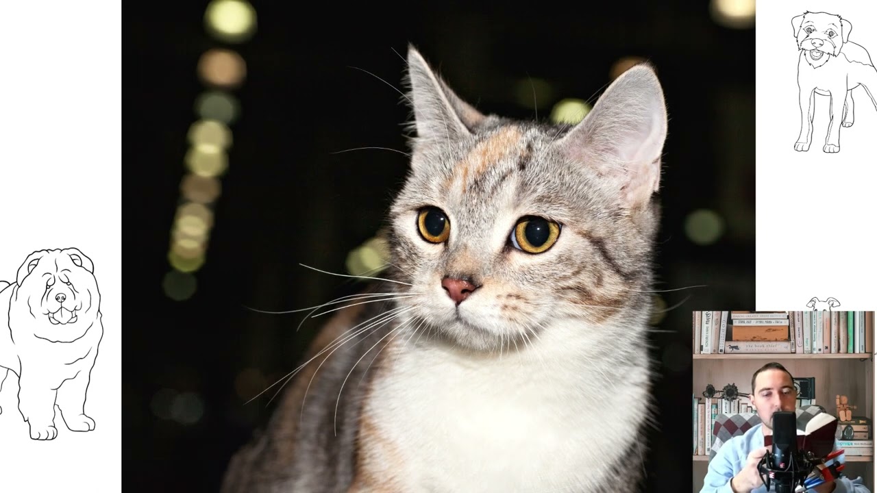Munchkin cat or Sausage cat. Pros and Cons, Price, How to choose, Facts, Care, History