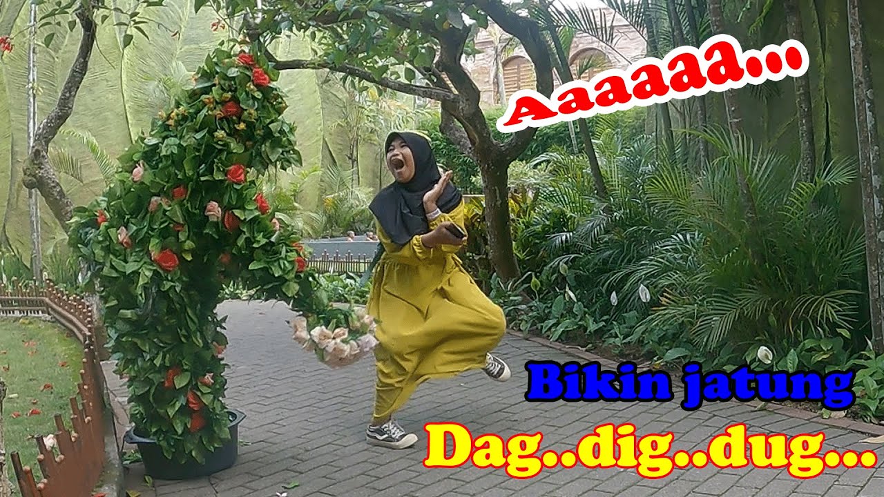 Gadis ini Phobia dengan manusia pohon, BUSHMAN PRANK