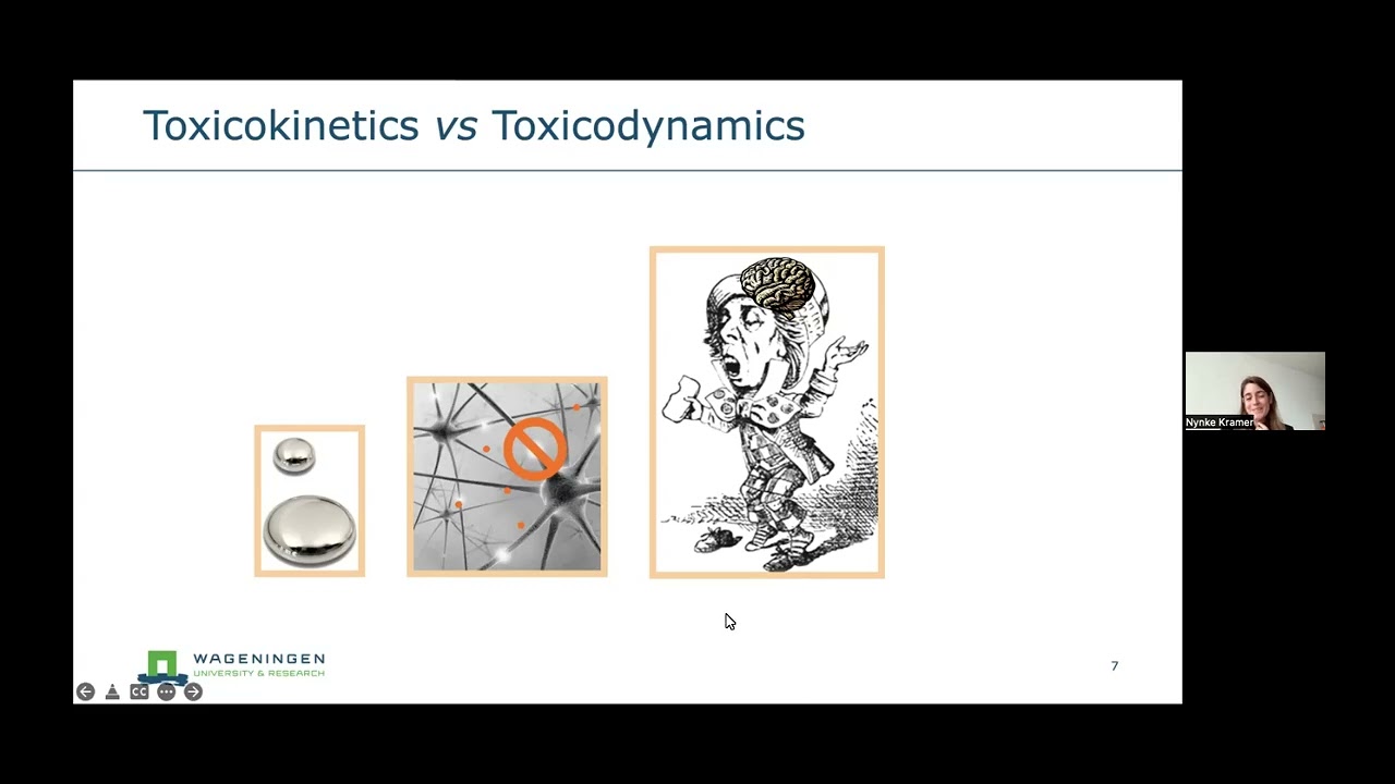 Next generation physiologically based kinetic modelling: challenges and opportunities.