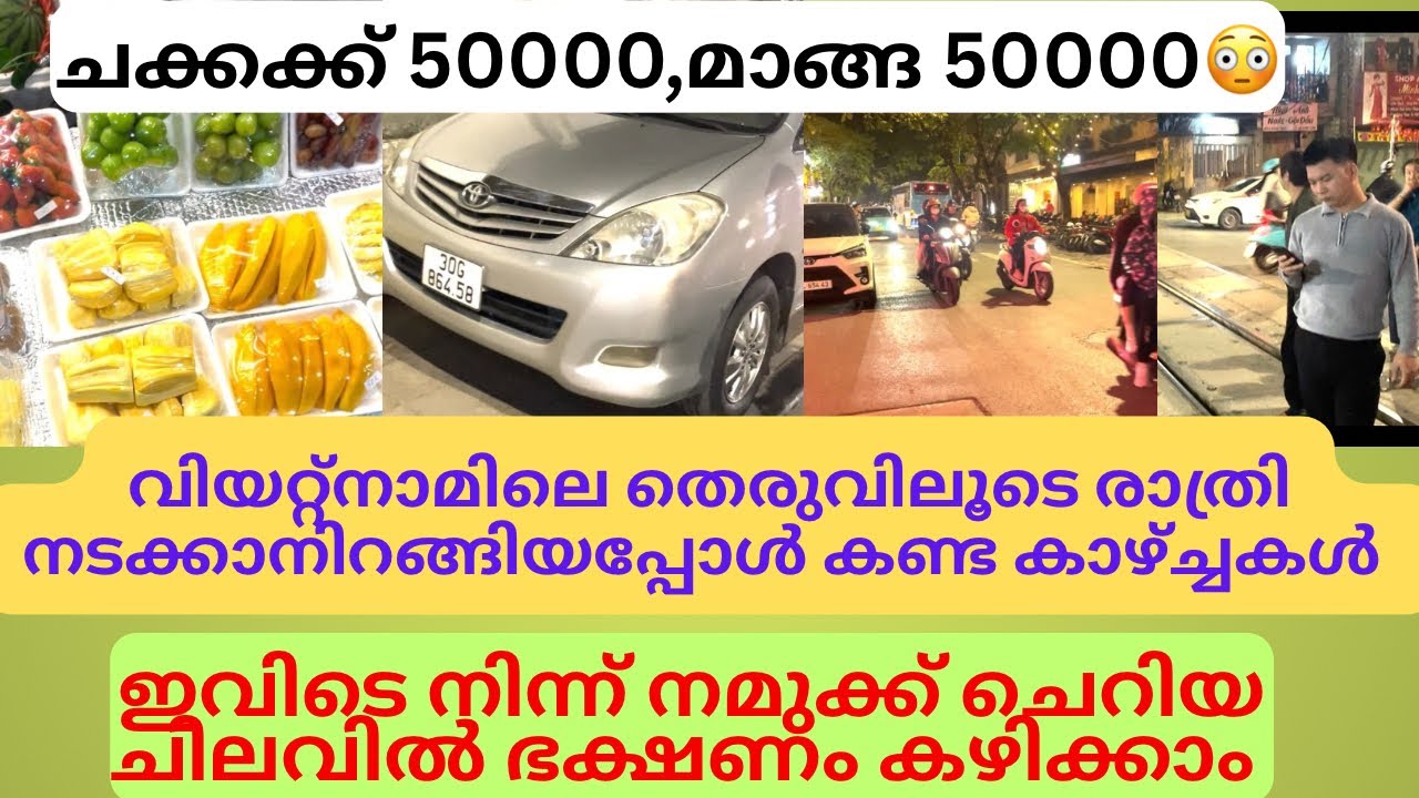 Ep-8 ചോറിന് 29000😳😳|നാട്ടിലെ ഇന്നോവയും,ഫോർച്യൂണറും ഒക്കെ നമുക്കിവിടെ കാണാം|vietnam night walking 🤬😳
