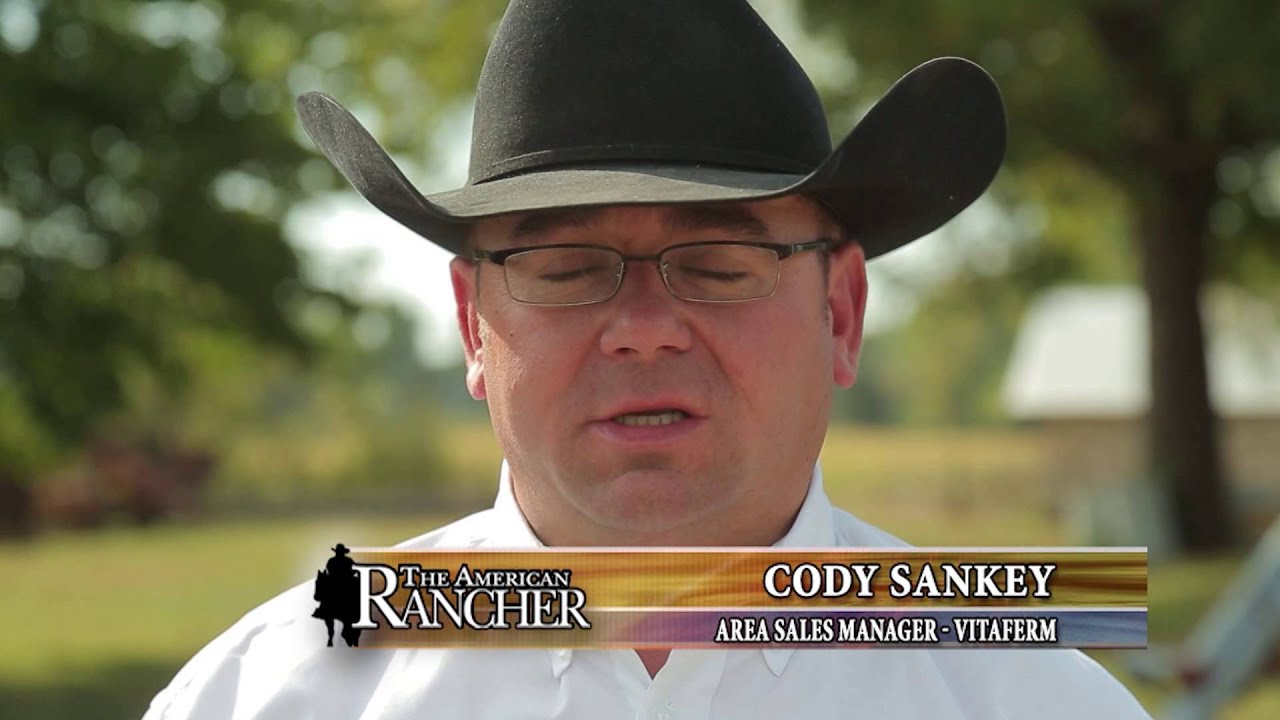 The American Rancher: Improving Conception Rates in Cattle