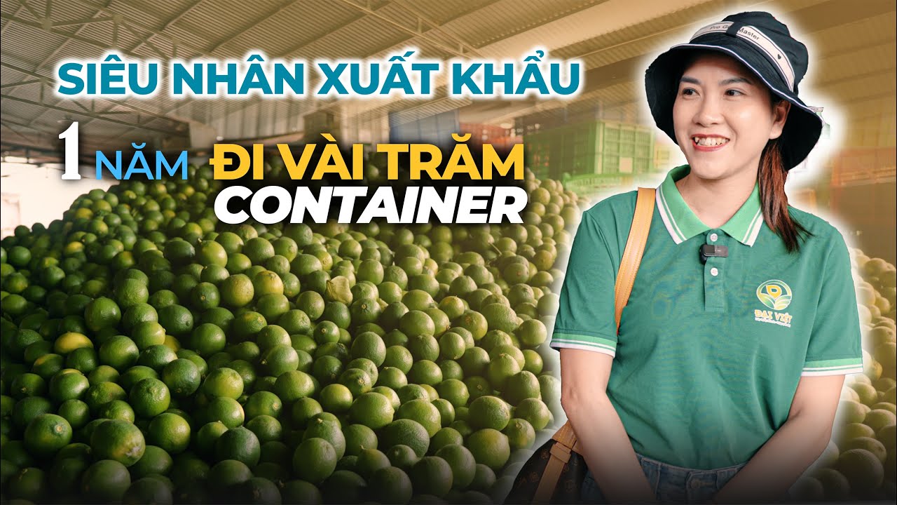 SIÊU NHÂN XUẤT KHẨU - 1 năm đi vài trăm CONTAINER - VIETGO