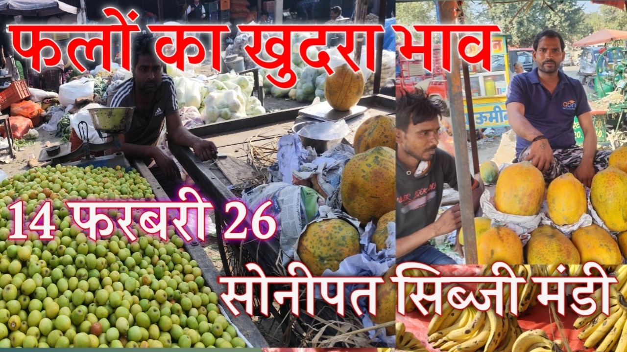 केला पपीता बेर का ताजा रेट सोनीपत सब्जी मंडी | फलों का खुदरा भाव  | Fruit ka retail ret