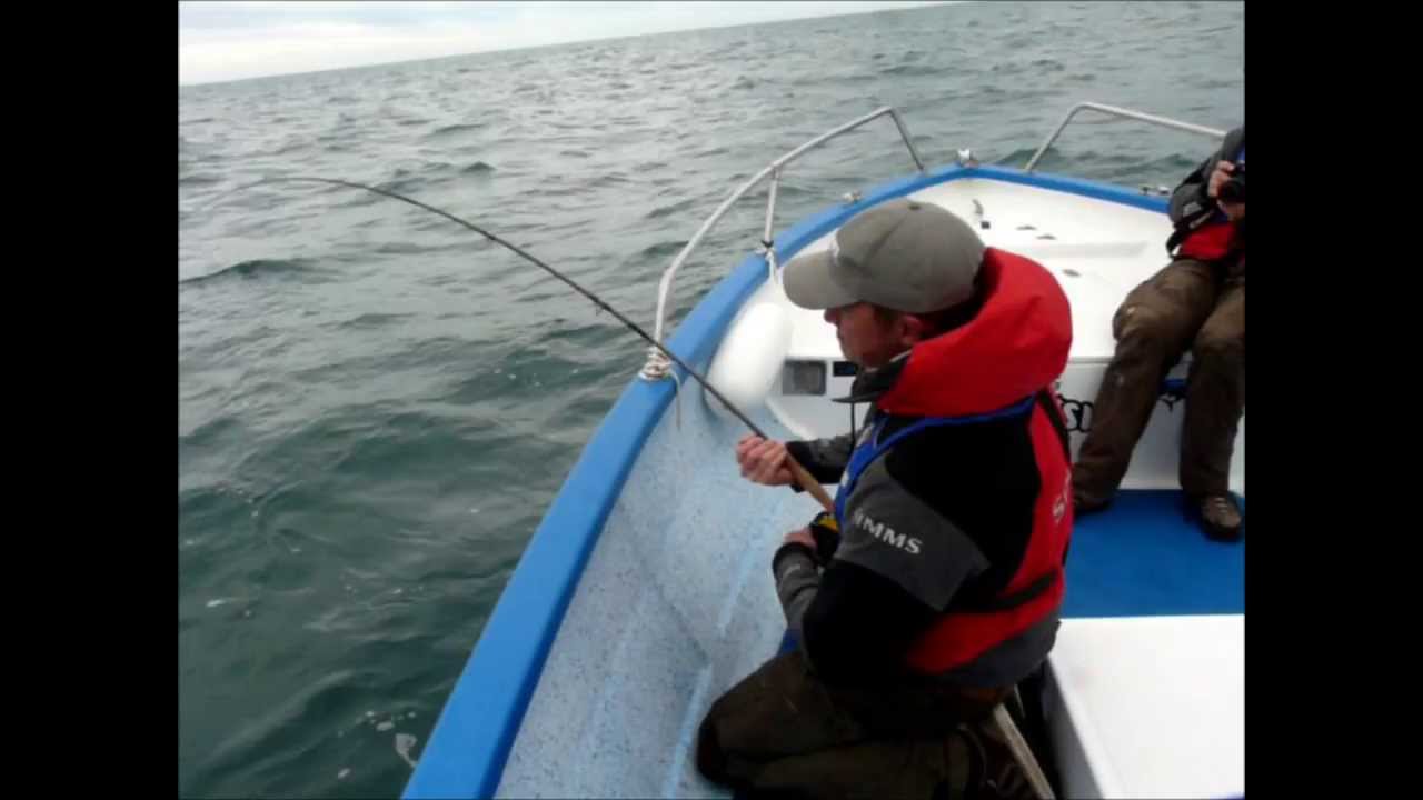Pêche du thon rouge à la mouche - Blue fin tuna on da Fly